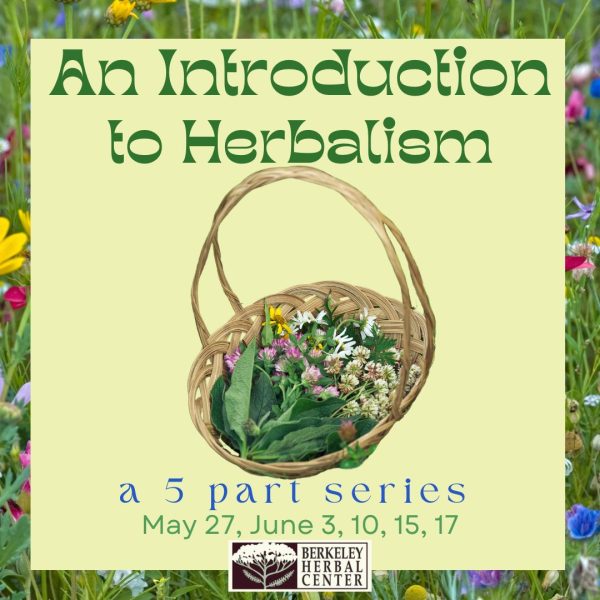 Introduction to Herbalism