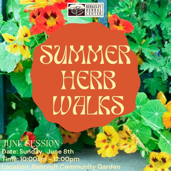 Summer Herb Walk - June Session
