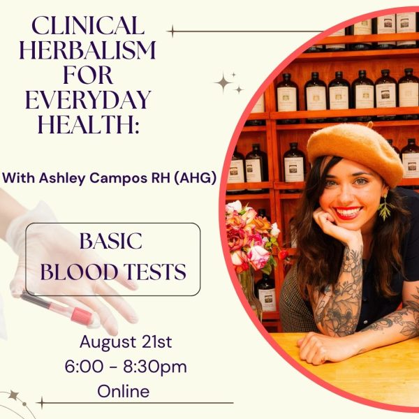 Basic Lab Tests: Understanding Your Health Story Through Bloodwork