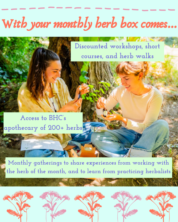September Herb Club - Image 2