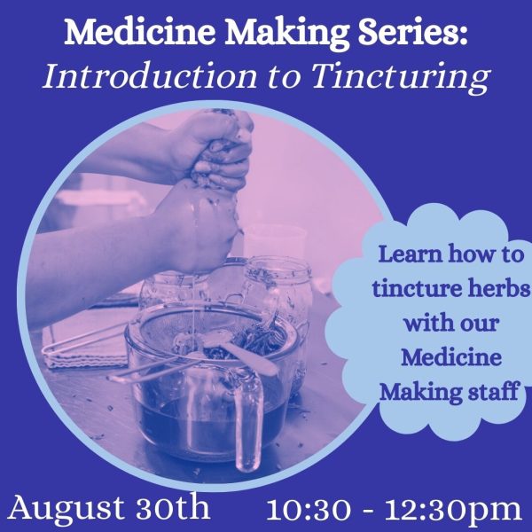 Medicine Making Series: Introduction to Tincturing