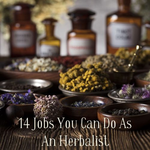 14 Jobs You Can Do As An Herbalist