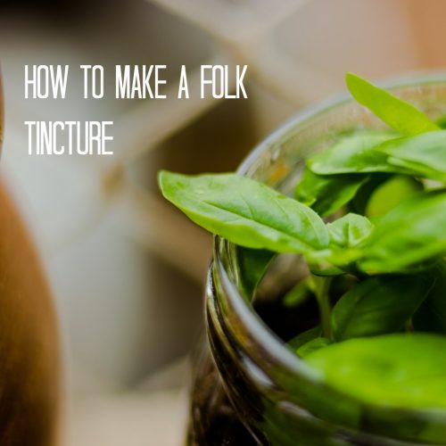 How to Make a Tincture using fresh herbs - folk method- green plants in a mason jar