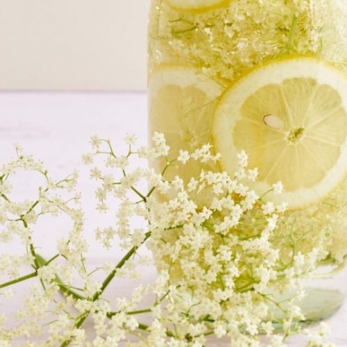 Herbs Uncovered: Elder (Plus an Elderflower Syrup Recipe)