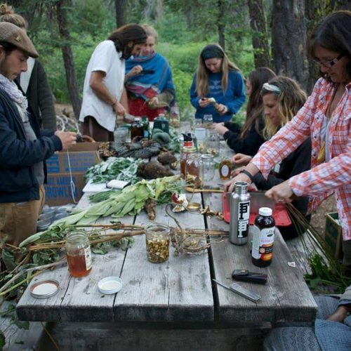 Herbal Foundations - the first year of herb school offers medicine making in the forest