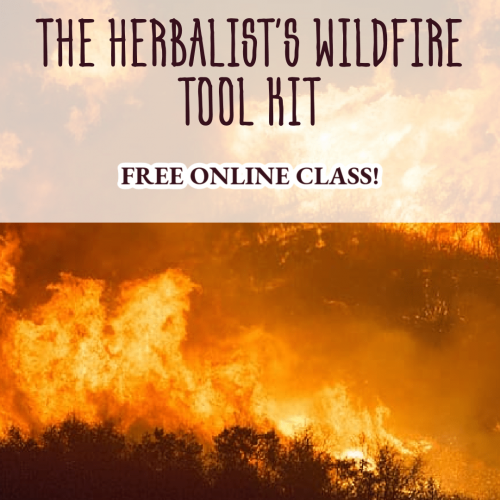 Wildfire-Herbalist 1080 x 1500 (1)